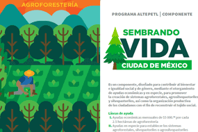 Programa Altepetl