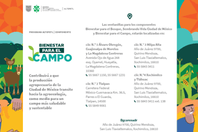 Programa Altepetl