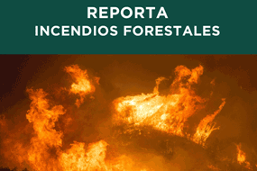 Incendios forestales